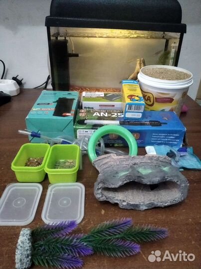 Аквариум с рыбками