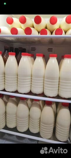 Сыр, творог, каймак, масло, сметана