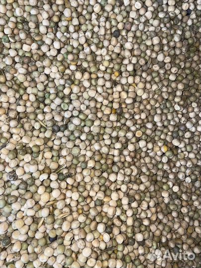 Пшеница ячмень овес горох