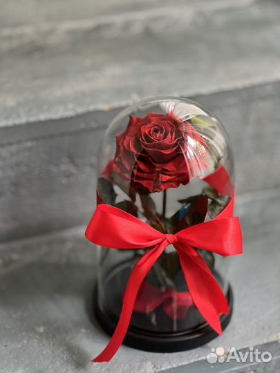Роза в колбе
