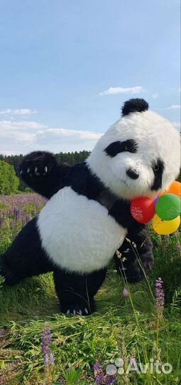 Поздравление - Панда на праздник