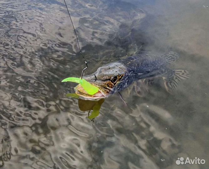 Рыбалка водные прогулки