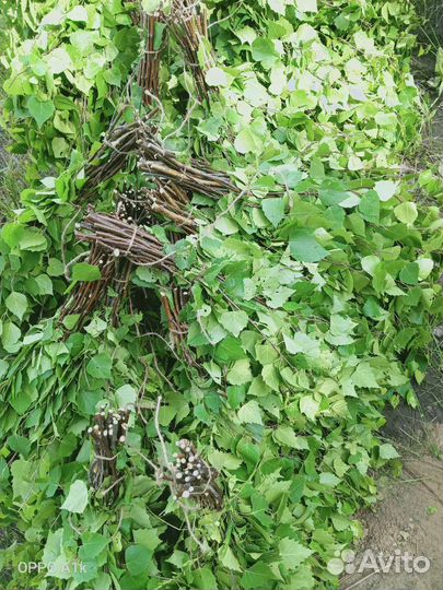 Березовые веники