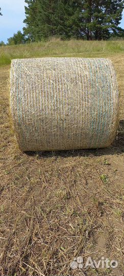 Сено в упаковке