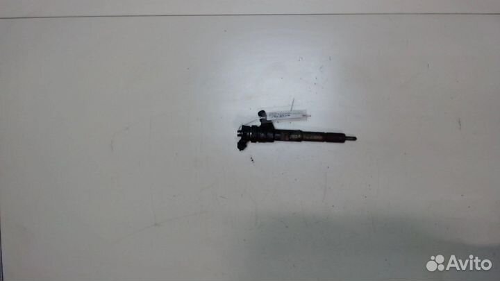 Форсунка топливная Renault Kangoo, 2013