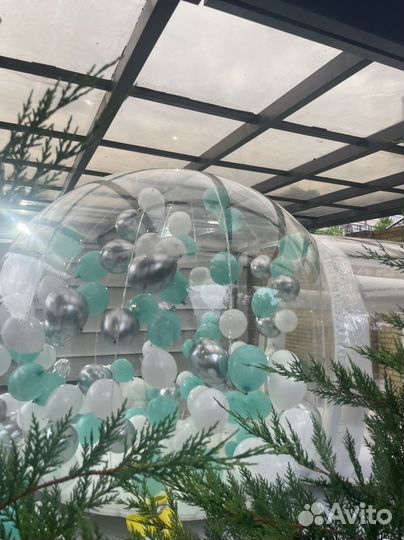 Аренда Фотозоны bubble house бабл хаус