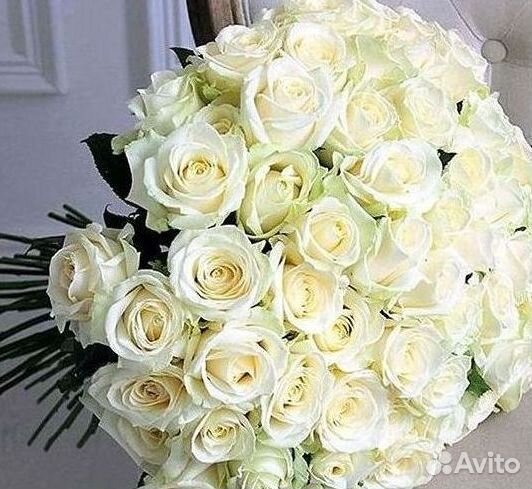 Розы Букеты Цветы Розы 31 101 151 201 Доставка