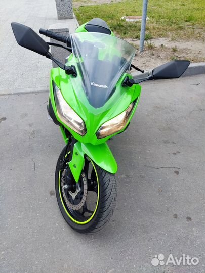 Kawasaki ninja 300 (abs)