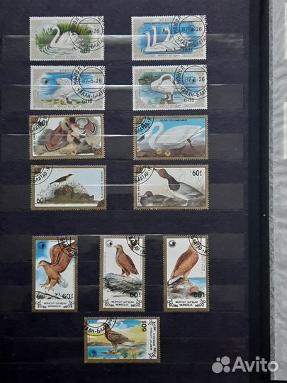 Коллекция почтовых марок 