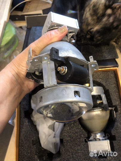 Линзы фар для BMW X5 Е53