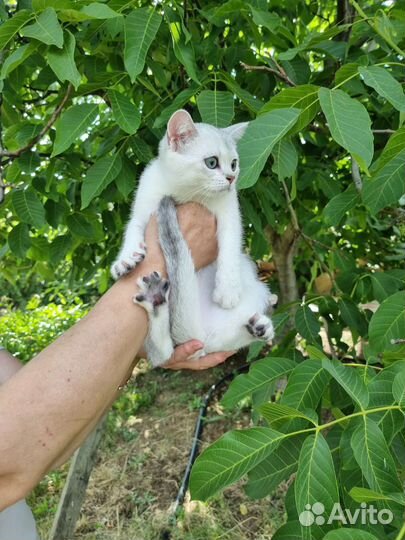 Малыш-улыбашка