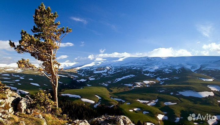 8 Марта в Адыгее, 2 дня/1 ночь