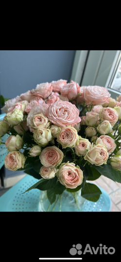 Кустовые розы