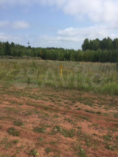 46 участок братск. Братск земля. Рябиновая братск. Братск земля. Фотографии порожских дач братск.