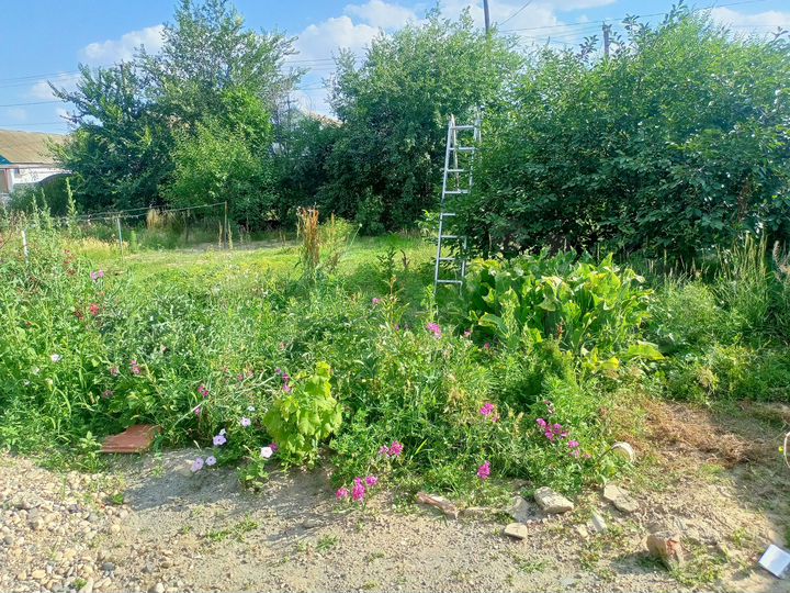 Дом 47 м² на участке 8 сот.