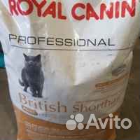 Корм роял канин для британских кошек 13 кг
