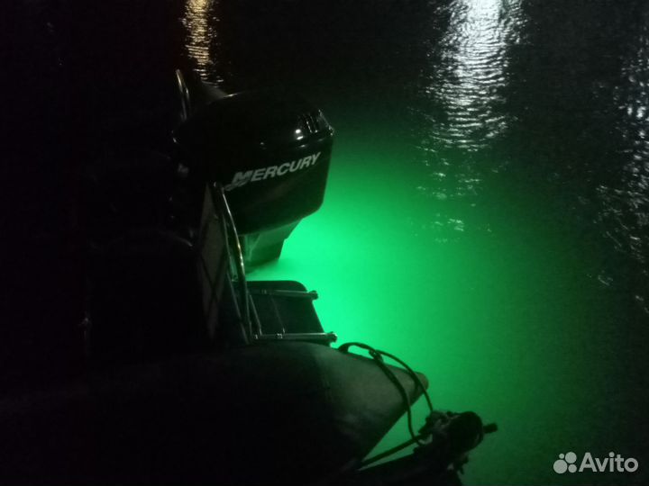 Риб Кальмар