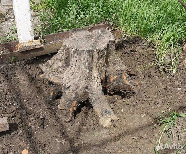 Благоустройство территории