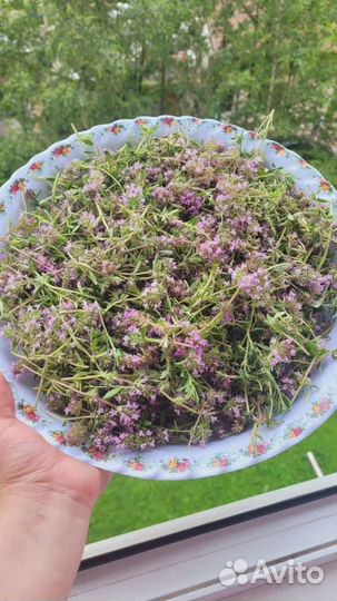 Горный чай