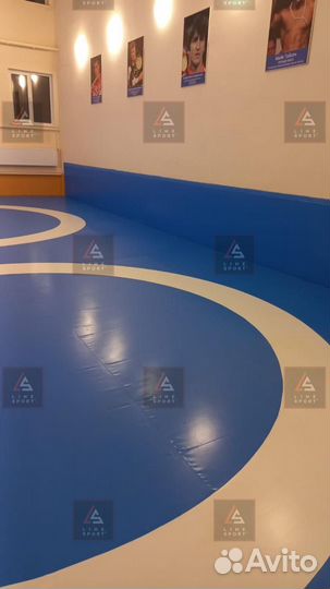 Борцовский ковер 10х10 двухцветный люверсы