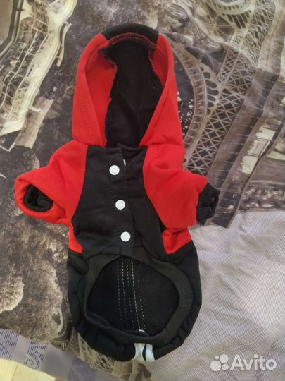 Толстовка для маленьких собак