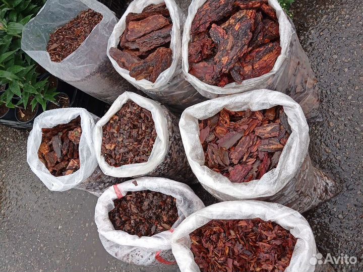 Мульча сосны