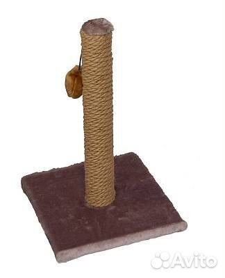 Когтеточка