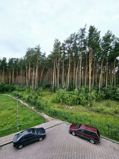 1-к. квартира, 29 м², 3/17 эт.