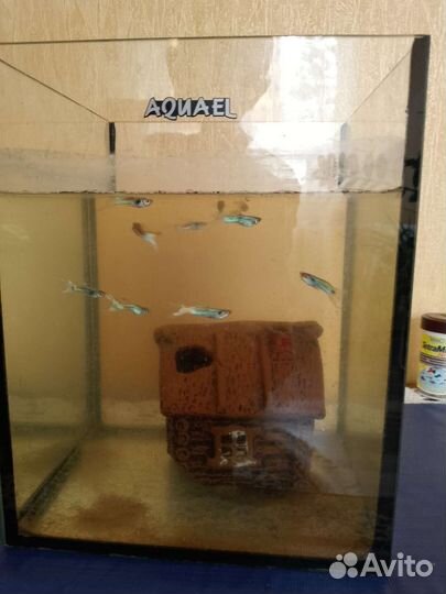 Аквариум 40л