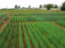 определите степень уравнения с 2 переменными. оценка индекса кердо. номер х000хх. Range rover 777 77. а777аа77.