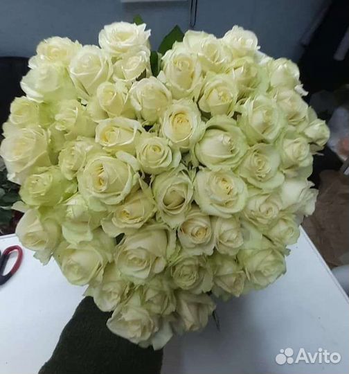 Букет-сердце из 51 розы, в форме сердца Омск