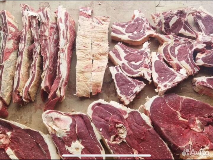 Продам мясо говядина