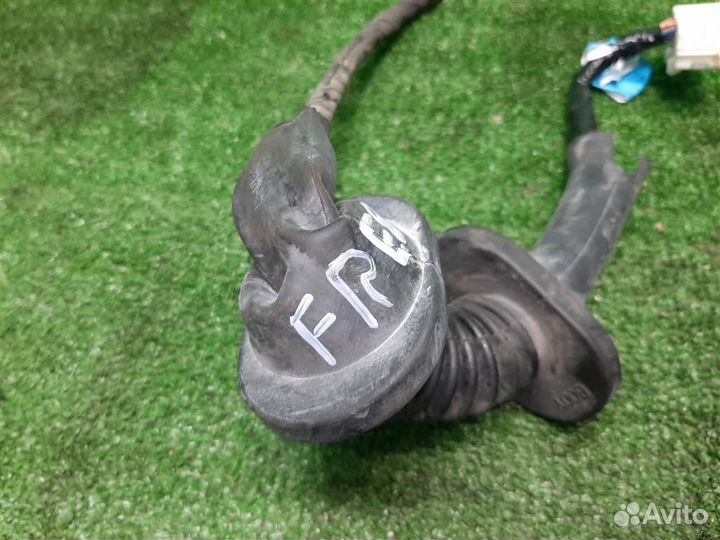 Проводка двери передней правой Mitsubishi Grandis