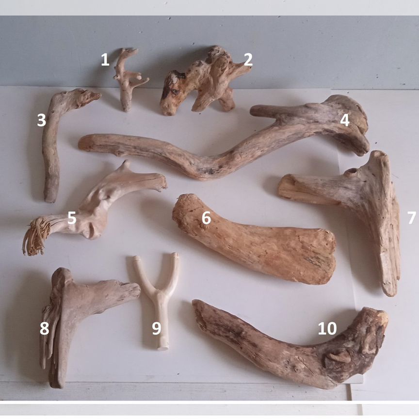 Коряги дрифтвуд фигурные морские