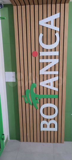 3-к. квартира, 80,8 м², 1/9 эт.