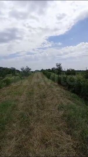 Участок 2,5 га (ИЖС)