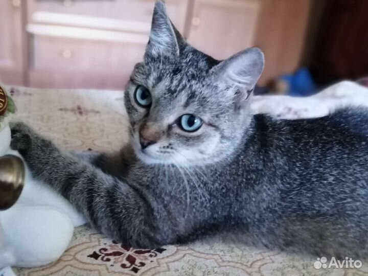 Добрая и ласковая Соня