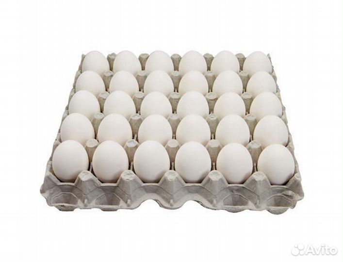 Яйцо куриное оптом