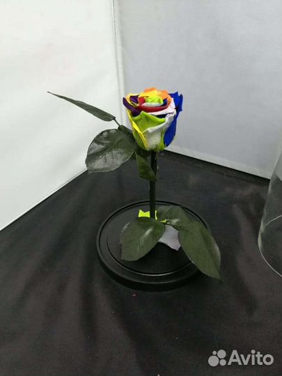 Роза в колбе оптом
