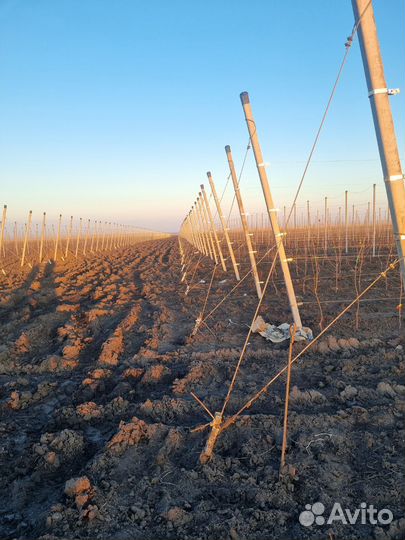 Столбы бетонные шпалерные для сада