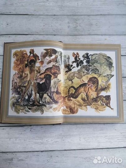 Р. Киплинг. Маугли