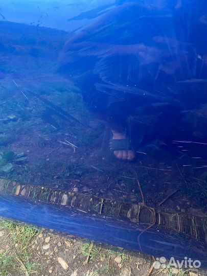 Дверь левая skoda rapid