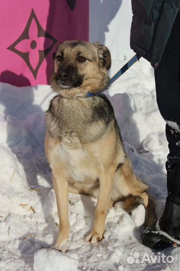 Октавию выкинули на мороз щенком