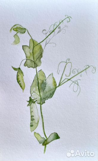 Картина акварель Цветы