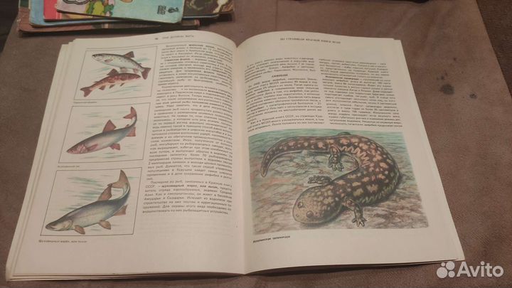 Книга они должны жить. Амфибии, рептилии, рыбы