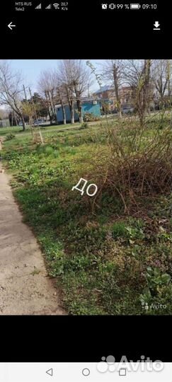 Уборка дачных участков