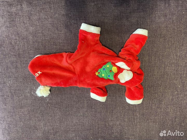 Одежда для собак мелких пород