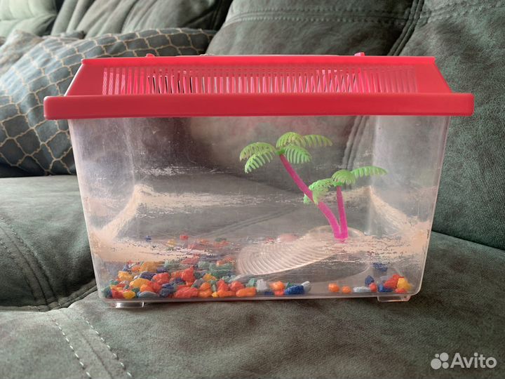 Аквариум для черепах