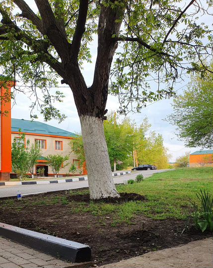 3-к. квартира, 69,6 м², 2/2 эт.