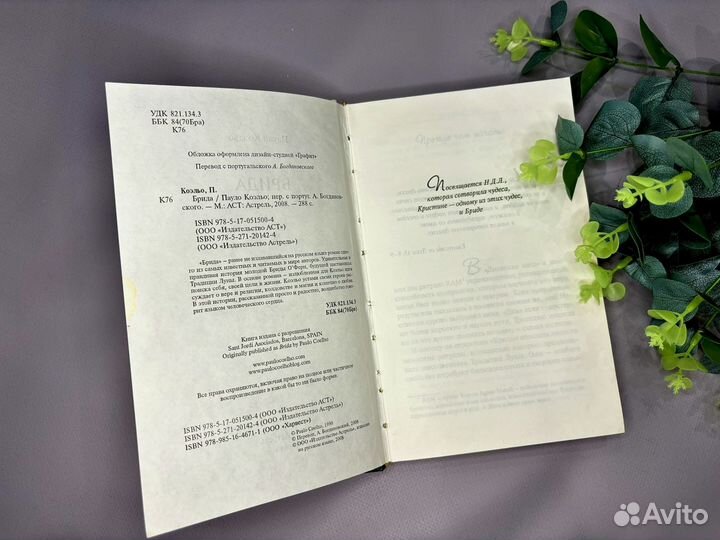 Пауло коэльо Брида